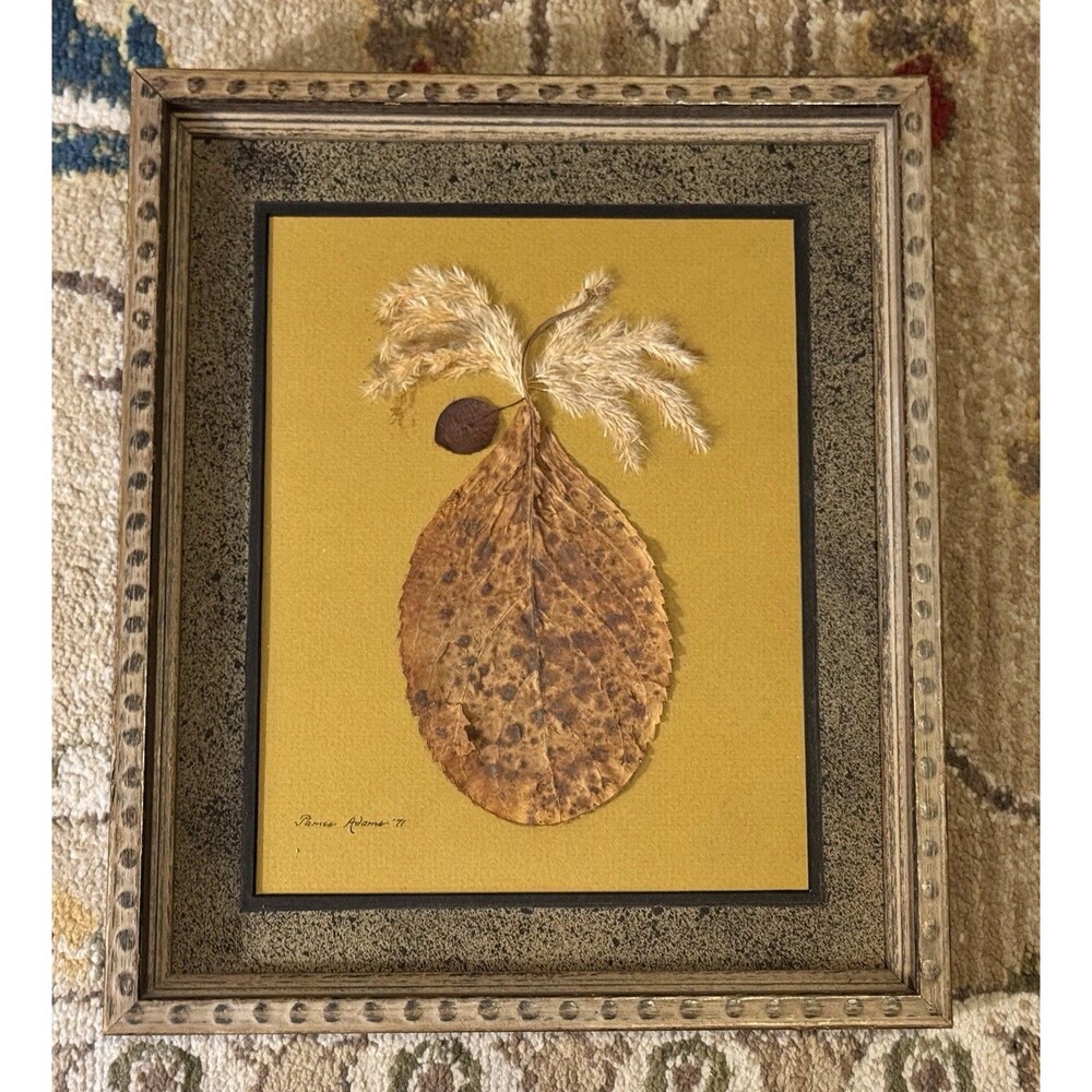 Stunning Framed Pressed Leaf Art-Botanical-Signed by the Artist James Adams 1971